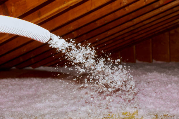 Best Cellulose Insulation in Timberwood Park, TX