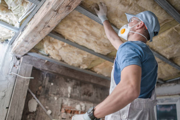 Best Fiberglass Insulation in Timberwood Park, TX