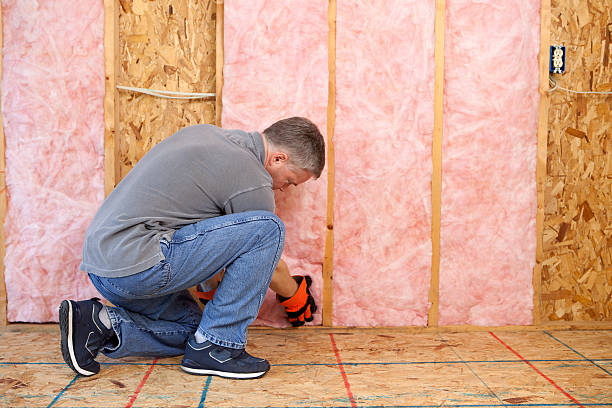 Best Insulation Maintenance and Repair in Timberwood Park, TX